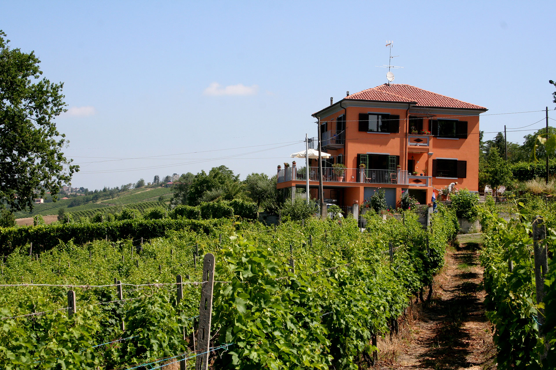 Villa gezien vanuit wijngaard